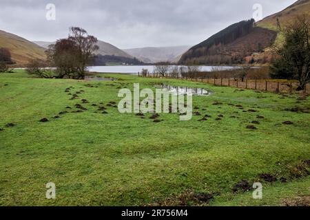 En mars et avec une infestation de mole, une vue vers le sud à travers le Loch des Lowes depuis Tibbie Shiels Inn. Dumfries et Galloway, Borders, Écosse Banque D'Images