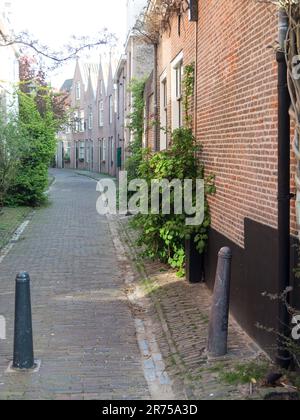 Une rue urbaine animée bordée de grands bâtiments en briques, d'arbres et de buissons, offrant une atmosphère paisible et verte Banque D'Images