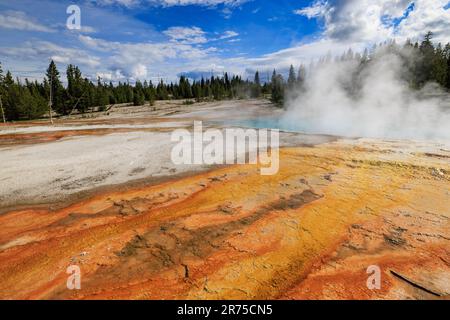 La vapeur s'élève au large de la « piscine noire » aux couleurs vives en premier plan, bassin West Thumb Geyser, parc national de Yellowstone, comté de Teton, WY, États-Unis. Banque D'Images