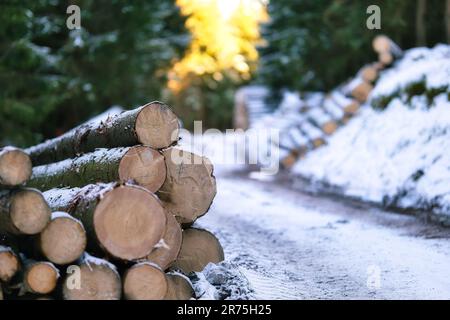 Une pile de bois de chauffage taillé, assis sur le côté d'une route enneigée, entourée par la nature Banque D'Images