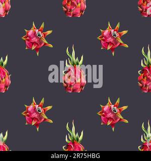 Fruits de dragon rose sur violet foncé poussiéreux simple motif sans couture avec aquarelle dessin pitaya. Illustration botanique Banque D'Images