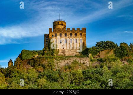 Château de Pyrmont près de Roes, Eifel, Rhénanie-Palatinat, Allemagne Banque D'Images