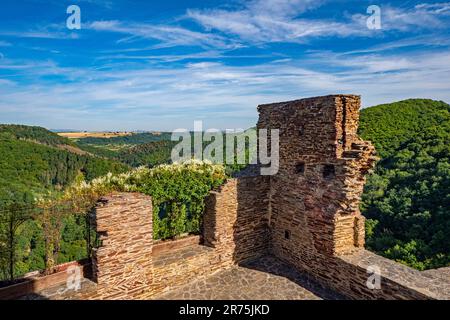 lick dans la vallée d'Ehrbach depuis Ehrenburg près de Brodenbach, vallée de la Moselle, Mosel, Rhénanie-Palatinat, Allemagne Banque D'Images