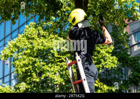 Un homme du service de secours dans un casque jaune tire le fil en se tenant sur une échelle mobile. Banque D'Images