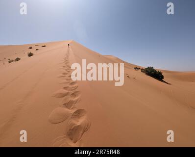 Randonnée dans la grande dune de Merzouga dans le désert d'Erg Chebbi, Sahara marocain Banque D'Images