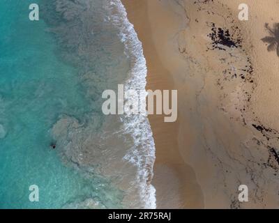 Amérique du Nord, Caraïbes, Grande Antilles, Île d'Hispaniola, République dominicaine, Province de SAMA, péninsule de Sama, Las Galeras, femme quitte la mer vers la plage Banque D'Images