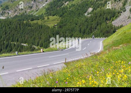 Cycliste sur la route haute alpine de Großglockner, prairie florale d'été en premier plan Banque D'Images