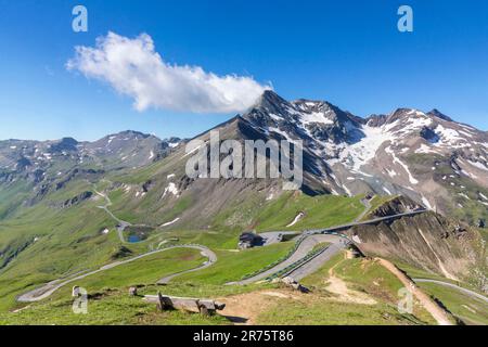 Vue depuis l'Edelweißspitze en direction de Brennkogel, Großglockner High Alpine Road, Fuscher Lacke, Mittertörl, Fuscher Törl Banque D'Images