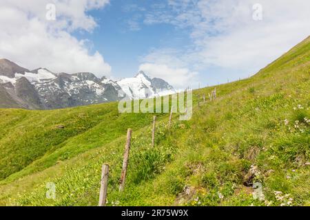 Prairie de montagne en été avec clôture en diagonale dans la photo, vue de Großglockner enneigée Banque D'Images