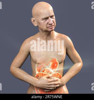 Douleur dans l'estomac, illustration informatique conceptuelle. Un homme souffrant de douleurs à l'estomac avec des organes internes mis en évidence. Ulcère gastrique, syndrome du côlon irritable Banque D'Images