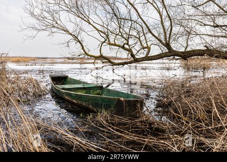 Europe, Pologne, Podlaskie Voivodeship, Biebrza, Burzyn, source, eaux de fond, bateau Banque D'Images