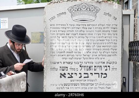 Un juif orthodoxe lit une prière personnelle dans un lieu Saint, le lieu de sépulture du Rebbe de Ribnitz, Chaim Zanvil Abramowitz, à Monsey, NY, 2023. Banque D'Images