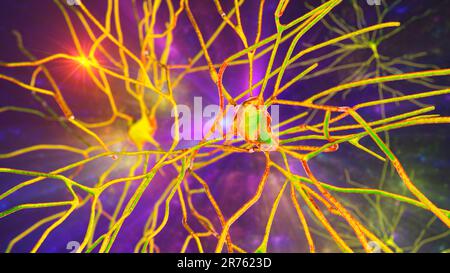 Neurones pyramidaux (cellules nerveuses) du cortex temporal du cerveau humain, illustration informatique. Banque D'Images