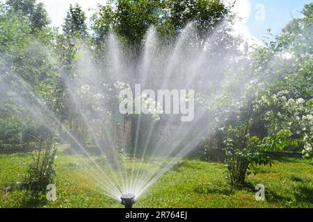 Potsdam, Allemagne. 13th juin 2023. Un système de gicleurs vaporise de l'eau sur les arbustes et la pelouse du jardin Marly du parc du Palais de Sanssouci. Crédit : Soeren Stache/dpa/Alay Live News Banque D'Images