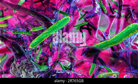 Biofilm de la bactérie Mycobacterium tuberculosis, agent causal de la tuberculose, illustration informatique. Banque D'Images