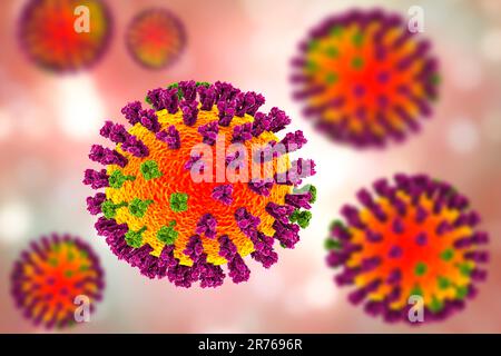 Virus de la grippe, illustration informatique. Chaque virus est constitué d'un noyau de matériel génétique d'ARN (acide ribonucléique) entouré d'une couche protéique (orange). EM Banque D'Images