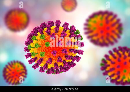 Virus de la grippe, illustration informatique. Chaque virus est constitué d'un noyau de matériel génétique d'ARN (acide ribonucléique) entouré d'une couche protéique (orange). EM Banque D'Images