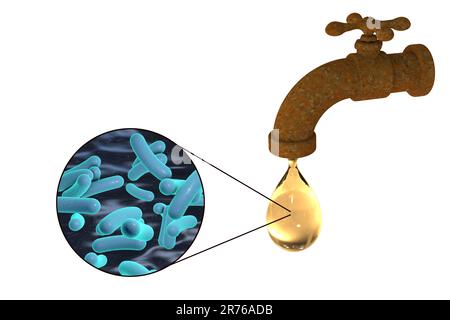 Sécurité de l'eau potable, image conceptuelle montrant des microbes dans une goutte d'eau du robinet. Banque D'Images