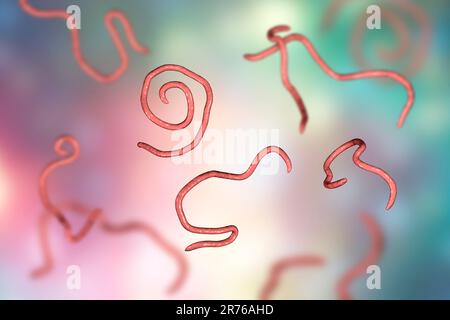 Threadworms, illustration de l'ordinateur. Les vers-Threadworms sont des vers nématodes qui parasitent le gros intestin et le caecum de nombreux animaux. Chez les humains, ils mettent en garde Banque D'Images