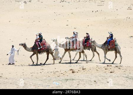 Le Caire, Égypte. 12th juin 2023. Les touristes visitent les Pyramides de Gizeh à Gizeh, Egypte, 12 juin 2023. POUR ALLER AVEC 'Feature: Les touristes thrifty s'empilent en Egypte comme les coûts de voyage plongée dans la dépréciation de la monnaie" crédit: Ahmed Gomaa/Xinhua/Alamy Live News Banque D'Images