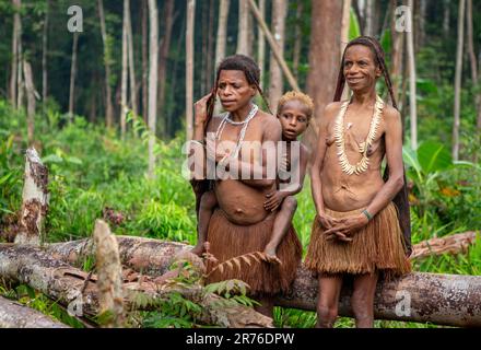 Les habitants du village de la tribu Korowai reviennent de la forêt. Tribu de Korowai (Kombai , Kolufo). Banque D'Images