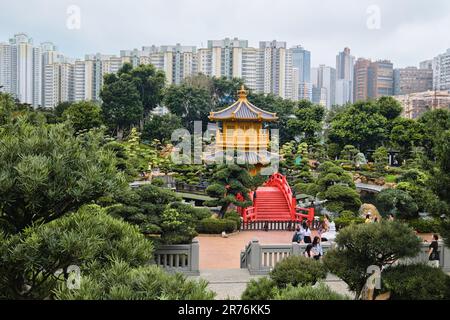Hong Kong - avril 2023 : pont en bois d'orange et pavillon d'or de la perfection absolue dans 'Nan Lian Garden' dans 'Chi Lin Nunnery' Banque D'Images