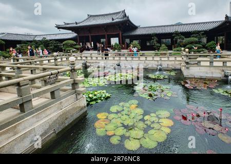 Hong Kong, Chine - avril 2023 : « Chi Lin Nunnery », temple chinois de style dynastie dans le quartier de Diamond Hill Banque D'Images