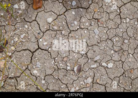 Il y a beaucoup de petites fissures dans une vue de dessus de la surface sèche. Sol sec par temps chaud en été. Questions environnementales, concept de réchauffement de la planète. Cracki Banque D'Images