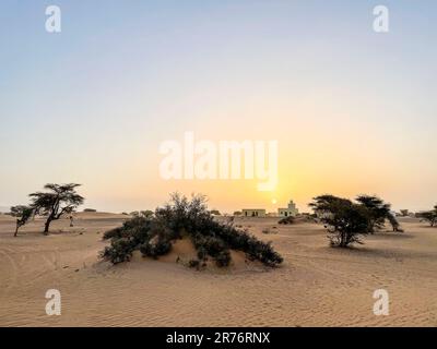 Mauritanie, région d'Adrar, El Beyedh, paysage Banque D'Images