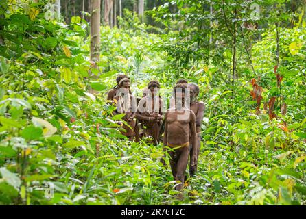 Les habitants du village de la tribu Korowai reviennent de la forêt. Tribu de Korowai (Kombai , Kolufo). Banque D'Images