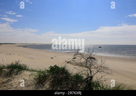 Vue sur une dune de l'île de Borkum à la mer du Nord Banque D'Images
