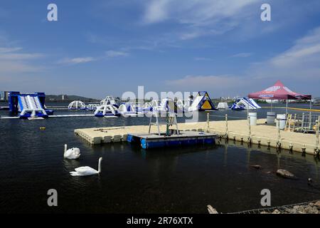L'Aquapark eau à bord d'un parc activités amusantes sans clients, mais avec des cygnes juin 2023. Été. cym. Banque D'Images