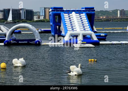 L'Aquapark eau à bord d'un parc activités amusantes sans clients, mais avec des cygnes juin 2023. Été. cym. Banque D'Images