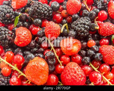 tas de fruits de forêt mûrs assortis et d'autres baies Banque D'Images