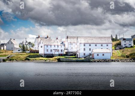 Lieu historique national de l'établissement-Ryan pêche à la morue de l'Atlantique attraction touristique de bâtiments en bois blanc surplombant la ville de Bonavista Terre-Neuve Banque D'Images