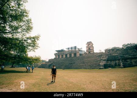 Ruines mayas à Palenque, Chiapas, Mexique. Photo de haute qualité Banque D'Images