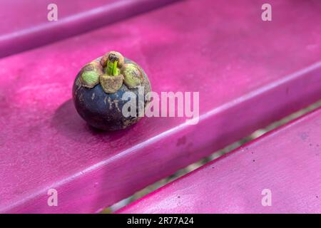 Un fruit mangoustan, jeune et vif, dégage des saveurs tropicales et une douceur juteuse, se pose sur le banc. Banque D'Images