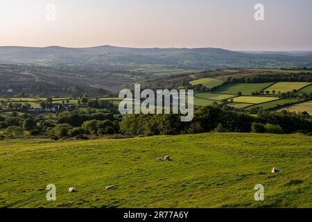 Le matin, la lumière brille sur la vallée de Tavy et les occidentaux de Dartmoor dans le Devon occidental. Banque D'Images