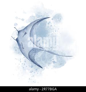 Manta Ray Fish avec des éclaboussures d'aquarelle. Illustration manuelle de Stingray sur un arrière-plan isolé. Diable de mer géant aux couleurs bleues. Dessin d'animaux sauvages tropicaux marins sous-marins. Banque D'Images