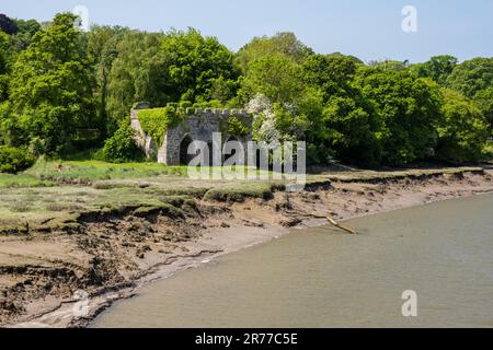 Les ruines des anciens fours à chaux se trouvent sur les rives de l'estuaire de la rivière Torridge, à Halsannery, près de Bideford, sur le sentier Tarka, dans le nord du Devon. Banque D'Images