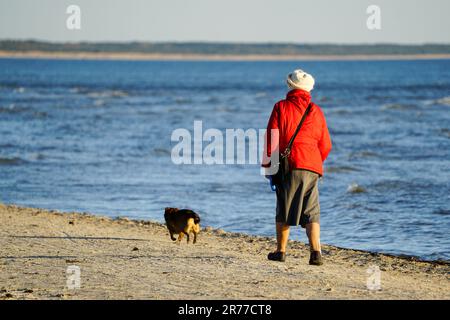 Une femme âgée dans une veste rouge avec un bâton de marche marche marche le long de la mer avec son chien Banque D'Images