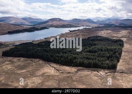 Vue depuis le point de vue de Tulla sur le lac Loch Tulla et la forêt reboisée, highlands écossais, Écosse, Royaume-Uni Banque D'Images