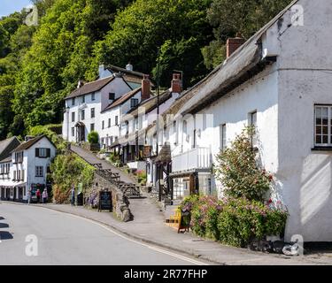 Des cottages pittoresques au toit de chaume sont situés à flanc de colline dans le village Exmoor de Lynmouth, dans le nord du Devon. Banque D'Images