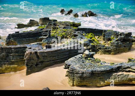 Rochers couverts d'algues sur une plage aux vagues sauvages, Esperance, Australie occidentale Banque D'Images