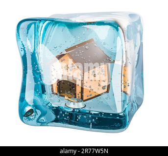 Coin en bois avec bol et os congelés dans un cube de glace, 3D rendu isolé sur fond blanc Banque D'Images