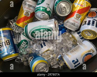 Boîtes de bière dans une glacière à New York samedi, 10 juin 2023. (© Richard B. Levine) Banque D'Images