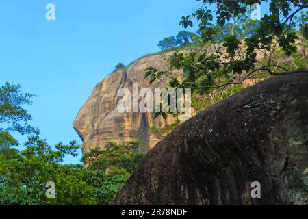 Rocher de la forteresse du Sigiriya Lion au milieu de la forêt de l'île du Sri Lanka. Gros plan avec des arbres au premier plan Banque D'Images