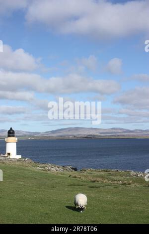 Vue sur le Loch Indaal vers l'autre partie de l'île d'Islay avec un mouton et un petit phare au premier plan Banque D'Images