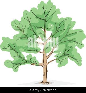 L'image simplifiée d'un crone du grand arbre - dessin vectoriel eps8 Illustration de Vecteur