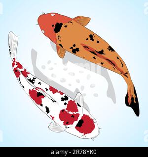 Carpe. Carte de vœux à koï Fish Vector Illustration de Vecteur